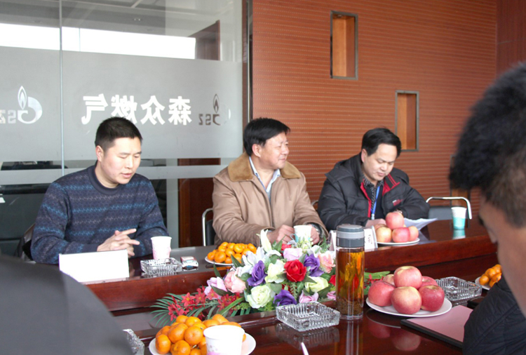 林口县政府与米乐网页版登录入口-米乐中国)燃气项目洽谈.png